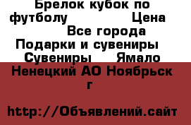 Брелок кубок по футболу Fifa 2018 › Цена ­ 399 - Все города Подарки и сувениры » Сувениры   . Ямало-Ненецкий АО,Ноябрьск г.